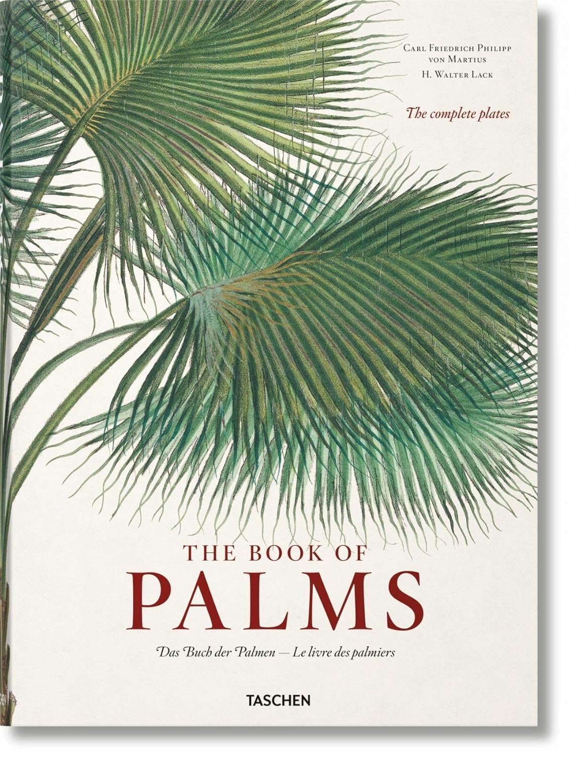 The Book of Palms / Das Buch der Palmen / Le livre des palmiers