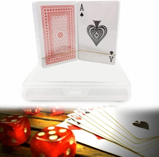 ANTEVIA - Lot de 2 Jeux de Carte 54 à Jouer plastifiées avec boîte de Rangement - Plus DE 10 MODÈLES - Adulte Poker Tarot Rami Belotte Étanche (Cards)
