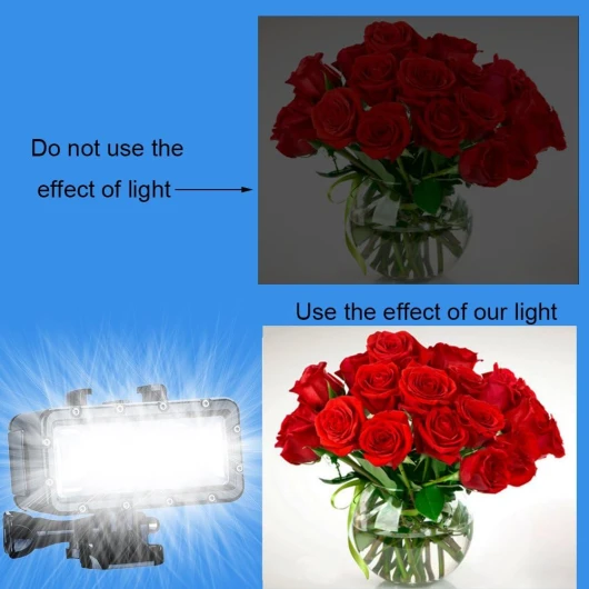 61IYN776f3L._AC_SL1000_