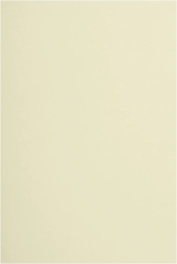 200x Papier Crème A5 148 x 210mm Arena Smooth Ivory 170g - Haute Qualité pour Bricolage, Cartes de Visite, Cartes de Vœux, Artisanat et Travaux Manuels ivoire 170g 200 feuilles