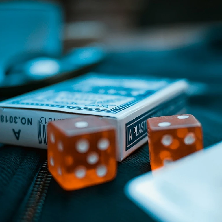 Plongez dans l'univers des jeux en bois géants