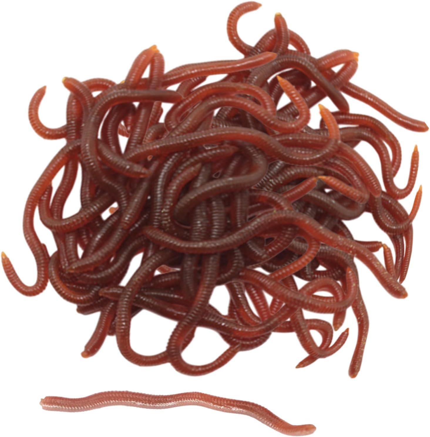 SAIIURV 100 Pièces Ver De Terre Artificiel Red Worm Biomimetic Soft Appât Pêche Leurre Fishing pour Halloween Avril Poisson Jour Enfants Adultes 100 pcs