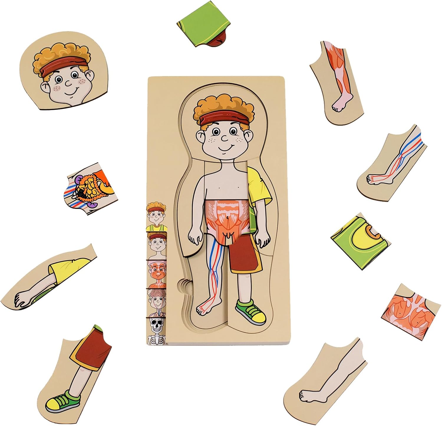 Puzzle Montessori en bois pour les tout-petits, les filles, les garçons, les enfants de 3 à 5 ans, la maternelle, jeu éducatif, jouet cognitif du corps humain, Noé