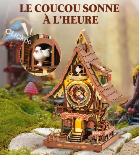 81PjY3RFF2L._AC_SL1500_