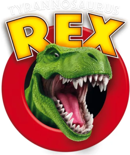 81bibfwYiML._AC_SL1500_