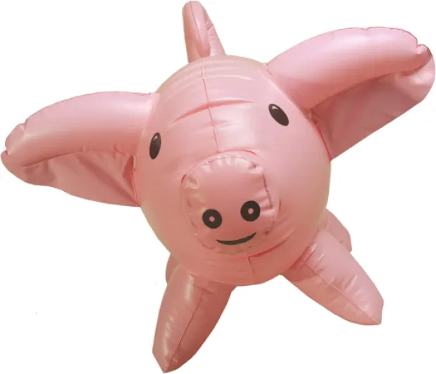 61PKFbzeFCL._AC_SL1500_