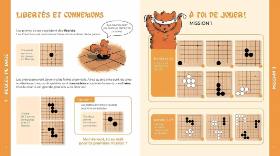 81yrt6FFALL._SL1500_