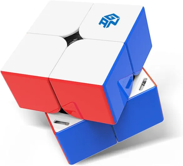 251MPro-Leap Speed Cube Magnétique 2x2, Mini Cube de Vitesse sans Autocollant, Jeu de Casse-Tête avec 56 Aimants/Axe Magnétique/GESv3/GMSv3/4 Niveaux Elastiques Remplaçables, Cadeau Enfant Adulte 251Pro Leap