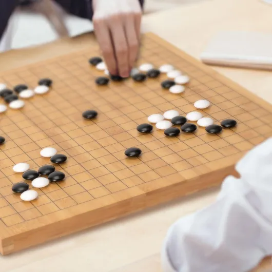 Plateau de Jeu de Go Recto-Verso en Bambou 2 cm 19 x 19/13 x 13 avec Pierres Convexes Doubles en Mélamine et Bols en Bambou