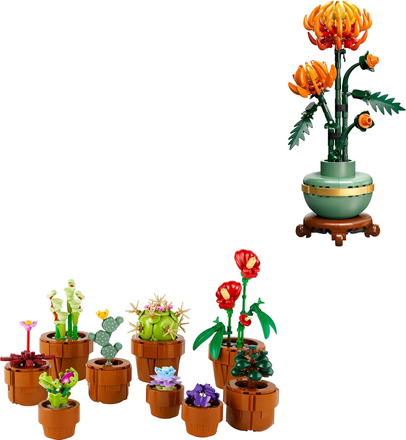 LEGO Pack Plantes Exotiques - Sets pour Adultes Les Plantes Miniatures (10329) & Le chrysanthème (10368) - Cadeau de St Valentin pour Elle et Lui - Décoration de Plantes artificielles pour la Maison