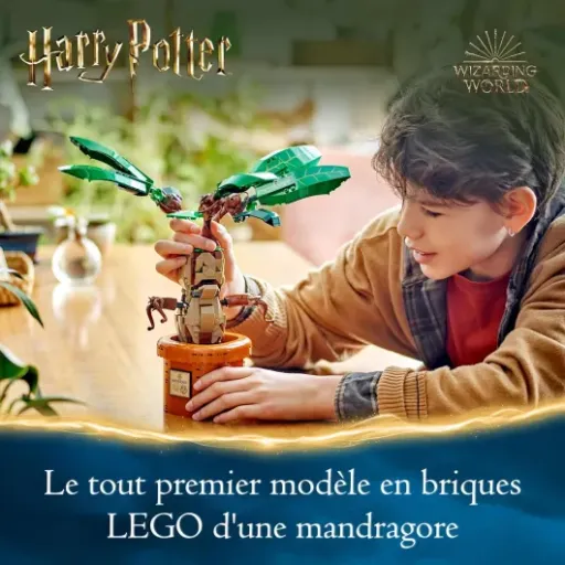 Test LEGO Harry Potter Mandragore 76433 : le set déco qui amuse autant qu’il prend la poussière