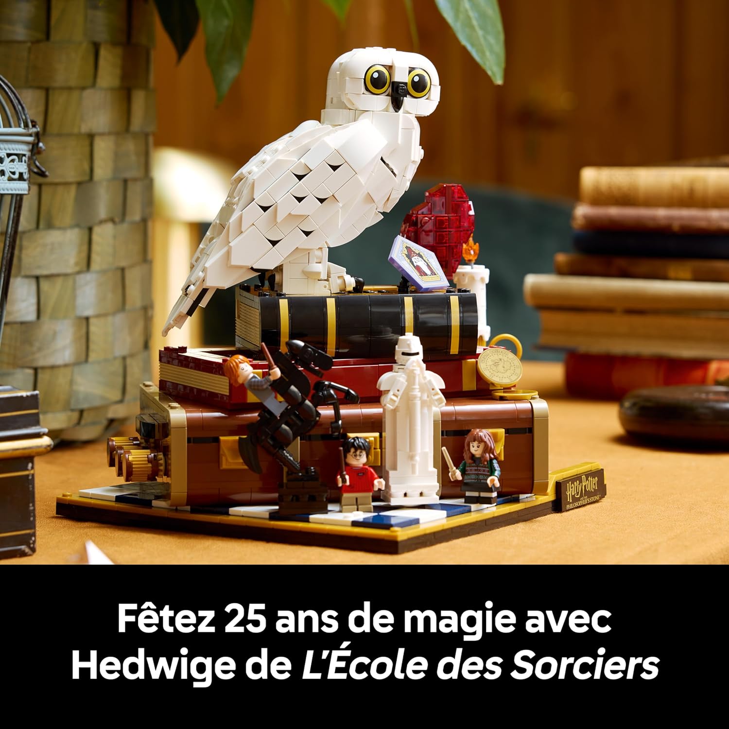 Harry Potter L’École des Sorciers – Édition Collector - Maquette DIY - Décoration Intérieure - Scènes Miniatures du Film - Figurine d'Hedwige - 3 Minifigurines - Cadeau Fête des Pères 76466