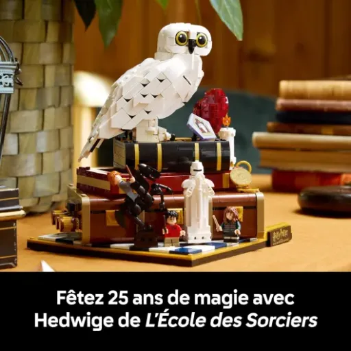 Test LEGO Harry Potter L’École des Sorciers Édition Collector 76466 : la grosse maquette vitrine pour fans assumés