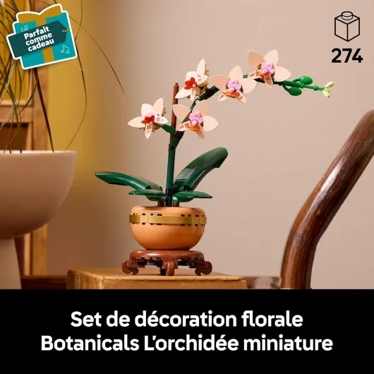 Botanicals L’Orchidée Miniature - Fleurs Artificielles pour Adulte Passionné.e de Nature - Plante avec Pot Style Terracotta - Décoration Intérieure - Idée de Cadeau pour la Fête des Mères 10343 Mini Orchid 10343