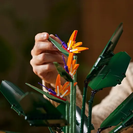 10289 Creator Expert L'oiseau de Paradis Jeu de Construction pour Adultes, Plantes Artificielles Fleurs Déco, Idée Cadeau