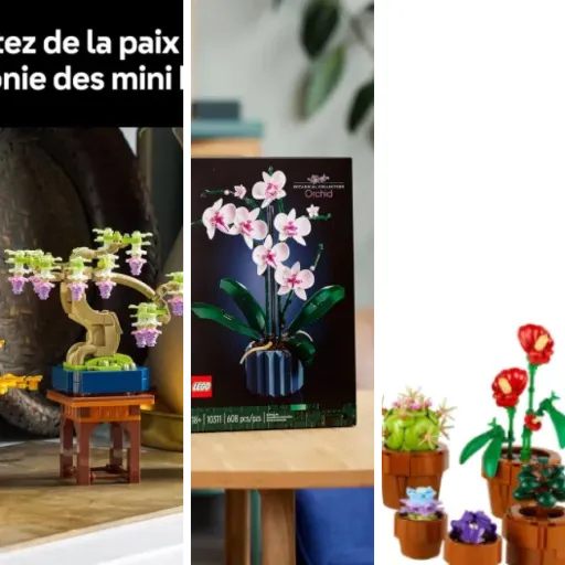 Top 9 des meilleurs lEGO Botanical Collection (mai 2026)
