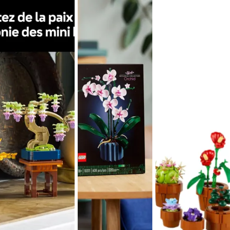 Top 9 des meilleurs lEGO Botanical Collection (2026)