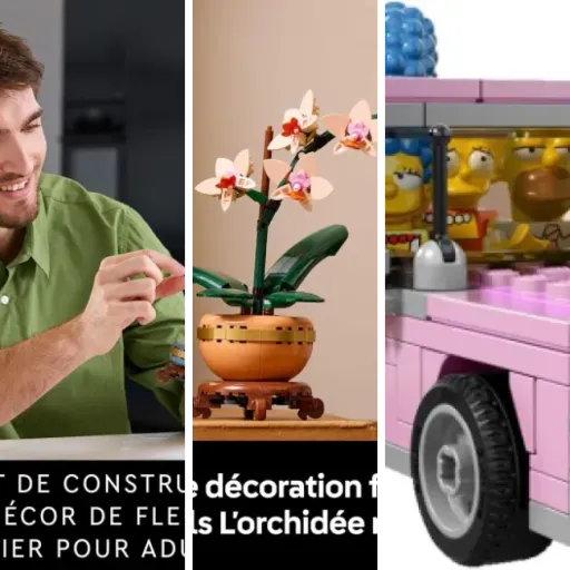 Les 5 meilleurs lEGO édition limitée (mai 2026)