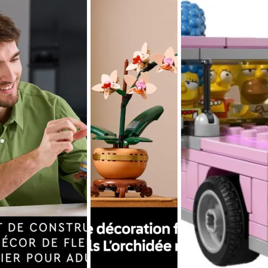 Les 5 meilleurs lEGO édition limitée (2026)