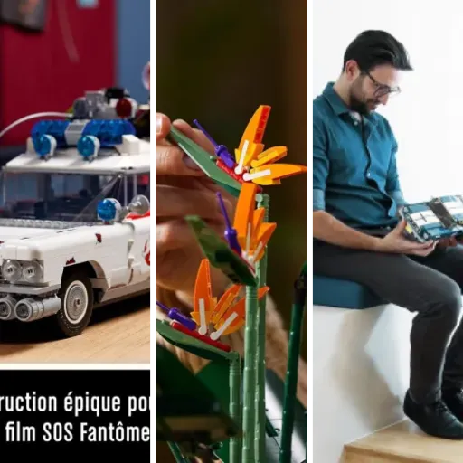 Comparatif des 7 meilleurs lEGO collectors (mai 2026)
