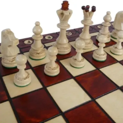 Test Jeu d'échecs en Bois Senator 40 x 40 cm : un beau set pliable pour jouer et exposer sans se ruiner