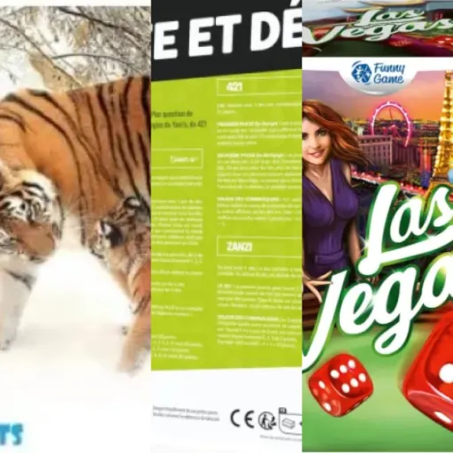 Guide d'achat : les 6 meilleurs jeux de dés de chance (2026)