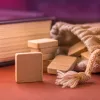 Règles du Scrabble : dictionnaire officiel, lettres joker et le mot que personne n'ose contester